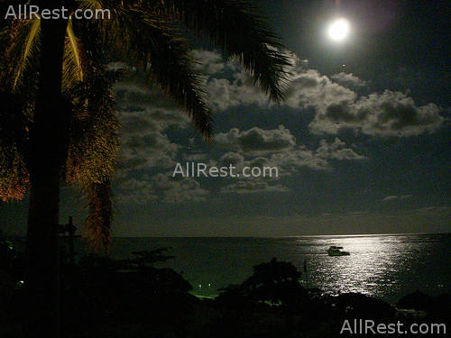 Sandals Montego Bay 6